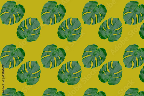 Seamless pattern from monstera leaves. Tropical leaves on mustard yellow background. © Olivka888
