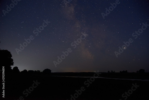 Starry sky and silhouette of grass and trees