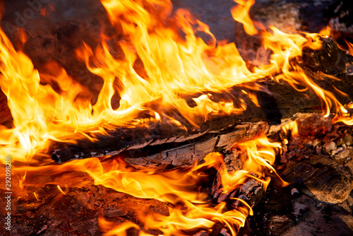 The fire. Tongues of flame. Bonfire. A burning piece of wood. Bonfire close-up.