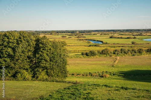 View from the settlement on the Biebrza estuary to Narew in Wizna  Podlaskie  Poland