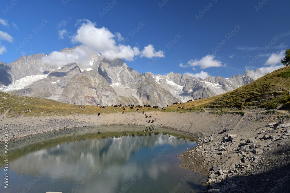 The small lake of Checrouit in Val Veny, used by the herd of cows to quench their thirst