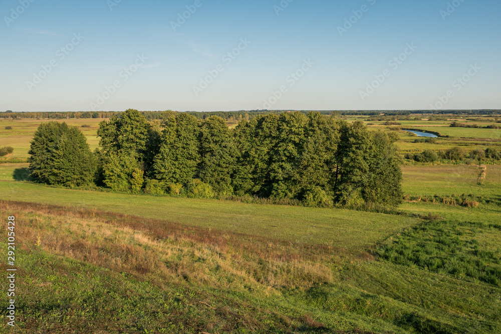 View from the settlement on the Biebrza estuary to Narew in Wizna, Podlaskie, Poland