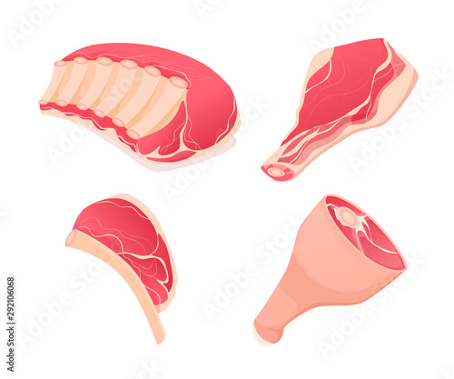 Set fragments of pork and beef meat. Assortment of meat slices of dish. Meat ribs, pork drumstick, slice from the thigh, beef meat on the bone. Vector illustration.