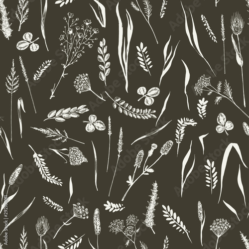 Tapeta Wild herbs and flowers painted are in engraving style.