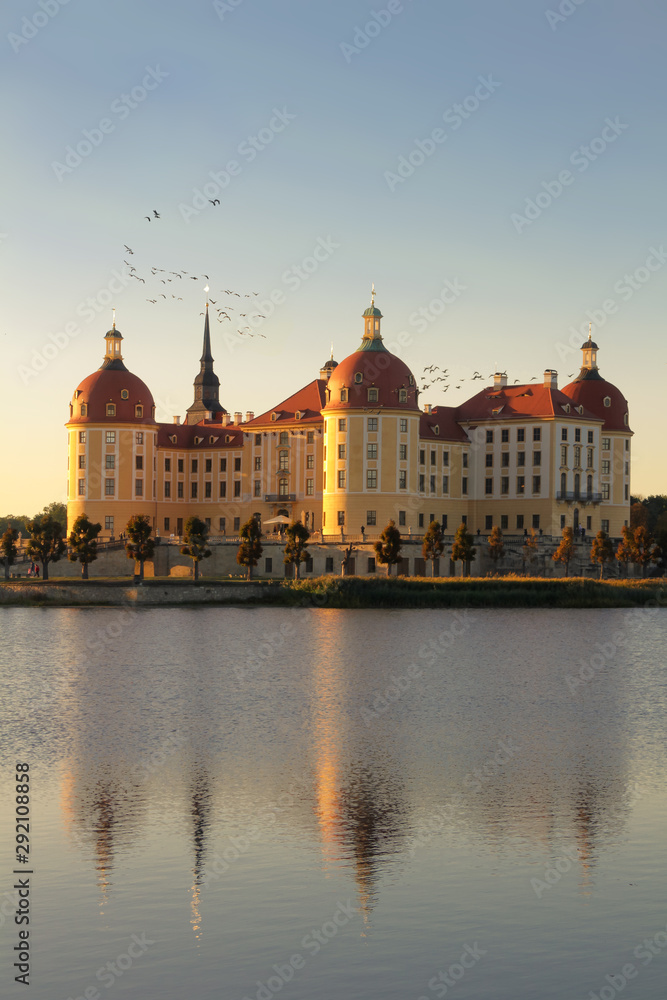 Schloss Moritzburg im Herbst mit Graugänsen