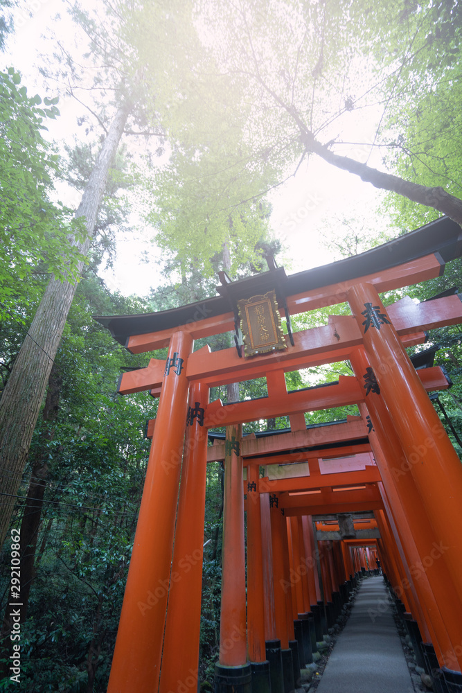 Harmony with Nature :Landscape of Fushimi Inari Taisha Harmony with Nature :Landscape of Fushimi Inari Taisha