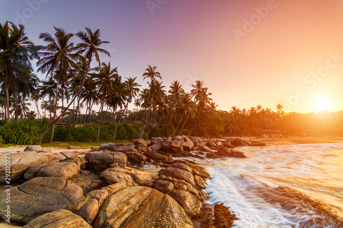 Beautiful sunset under the coconut plams on Sri Lanka beach. photo