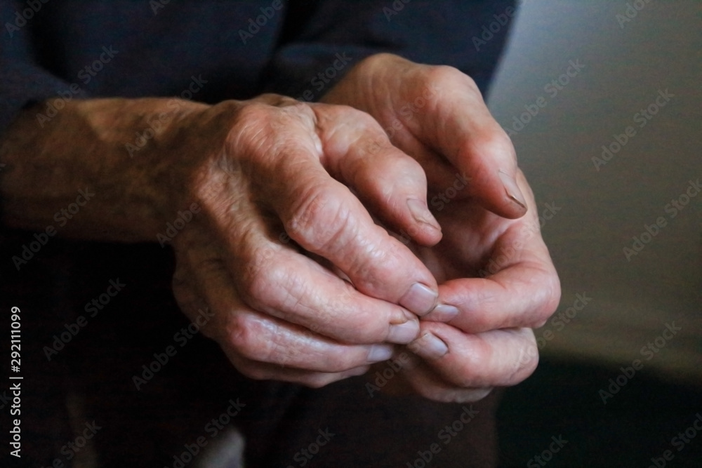 Fototapeta premium grandmother's hands, hands of elder woman
