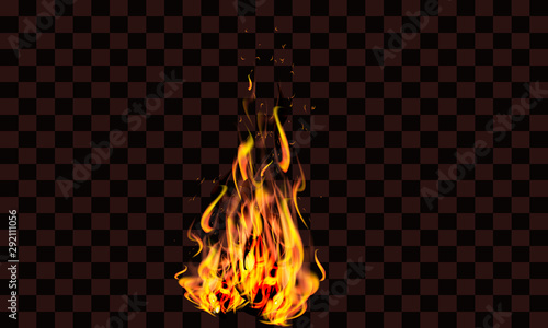 Realisric fire flame. Vector stock. photo