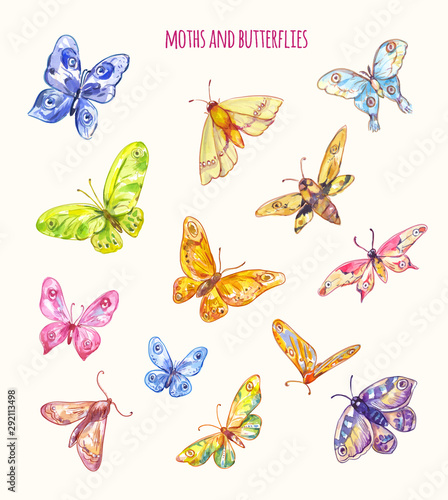 Different moths and butterflies in watercolor style. Vector flying wings © Viktoriia Manuilova