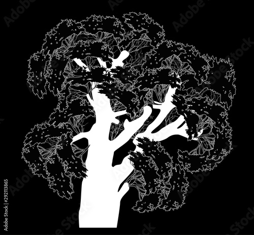 white isolated lush old tree on black