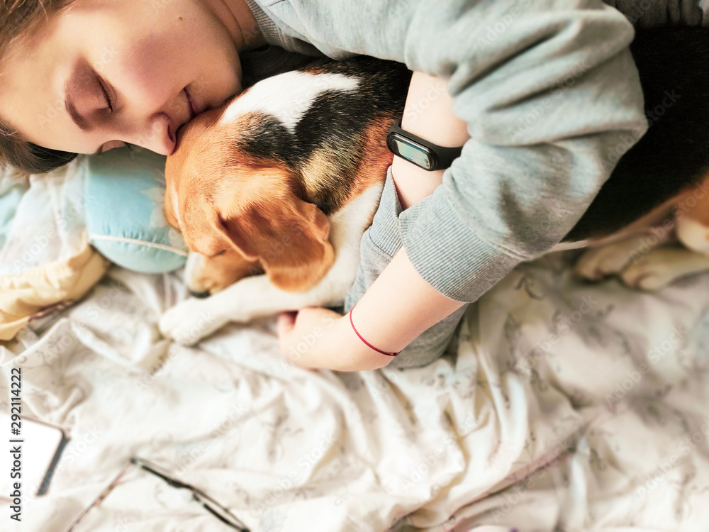 Girl and beagle dog sleep together. Girl hugs a dog. Home pet. Love. Girl and beagle dog sleep together. Girl hugs a dog. Home pet. Love.