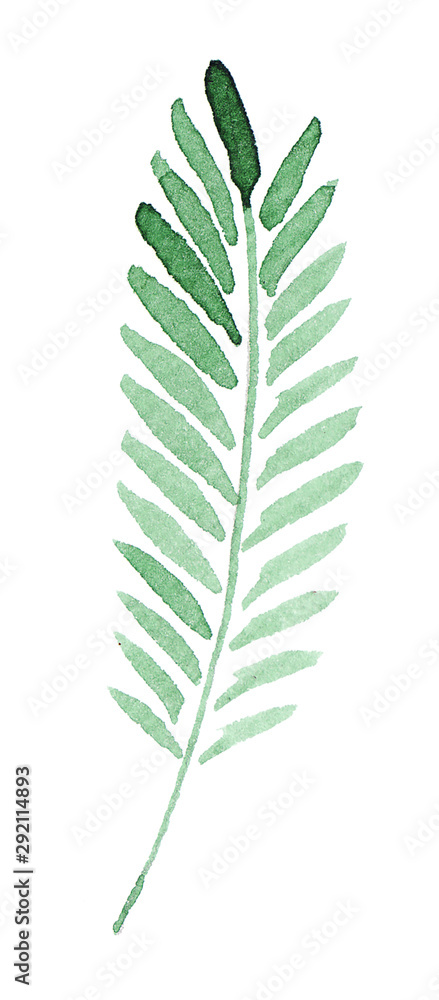 Watercolor handpainted green leaf. Isolated on white. Best for textile, wallpaper, invitation design, greeting card, fabric. hand painted, isolated on white background Watercolor handpainted green leaf. Isolated on white. Best for textile, wallpaper, invitation design, greeting card, fabric. hand painted, isolated on white background