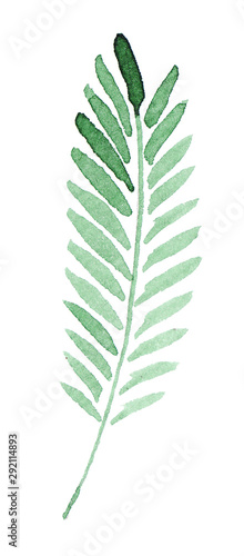 Watercolor handpainted green leaf. Isolated on white. Best for textile, wallpaper, invitation design, greeting card, fabric. hand painted, isolated on white background