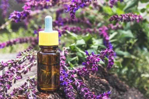 Essential oil in a glass bottle and fresh lavender flowers on a background of nature. Tincture or essential oil with lavender. herbal medicine.