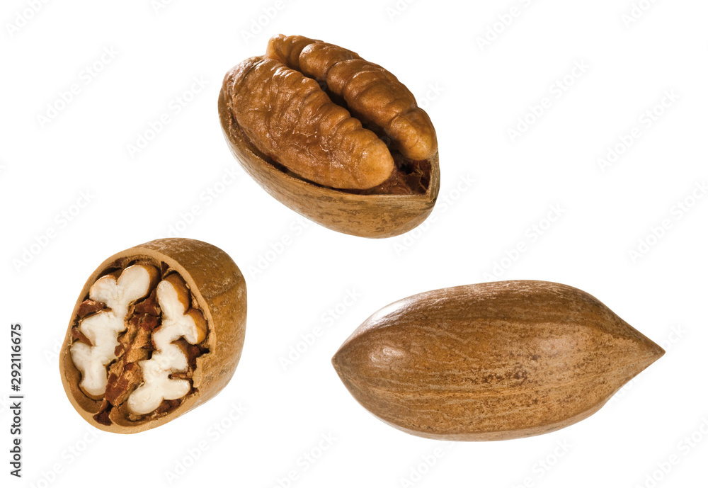 Obraz premium Pekannuss