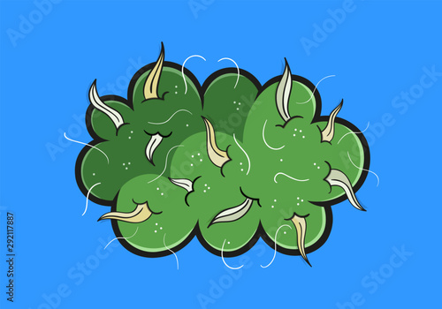 Illustration of white widow bud, marijuana flower
