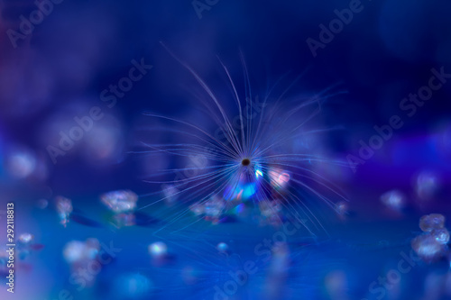 Closeup of a dandelion fluff on a blue background