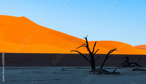 Landscape view of orange sand dune desert with clear blue ky at Namib desert in Namib-Naukluft national park Sossusvlei in Namibia.
