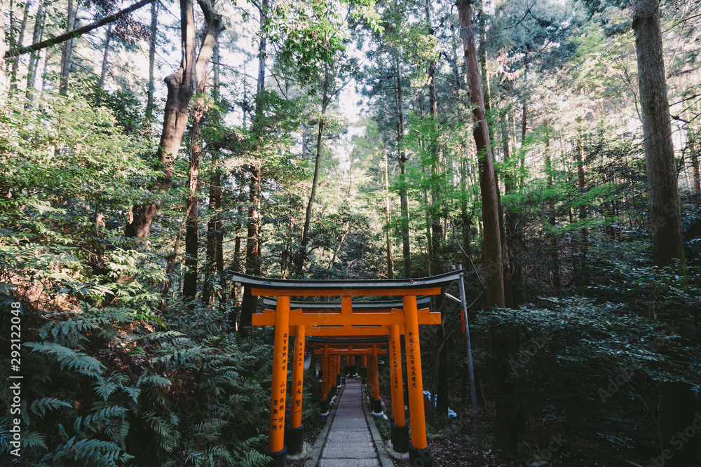 Harmony with Nature :Landscape of Fushimi Inari Taisha Harmony with Nature :Landscape of Fushimi Inari Taisha