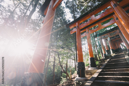Harmony with Nature :Landscape of Fushimi Inari Taisha © yoshihiro