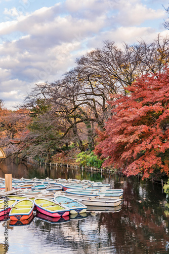 A collection of boats floating in the pond of Kichijoji Inokashira Park photo