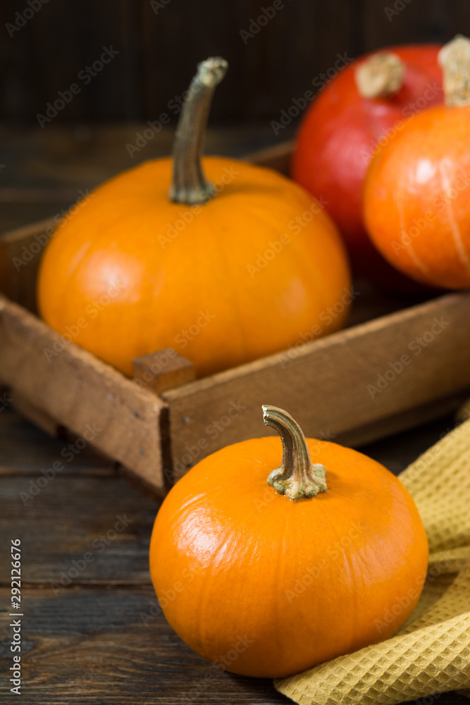 Small pumpkins on a brown wooden table. Rustic style. The concept of the fall harvest Small pumpkins on a brown wooden table. Rustic style. The concept of the fall harvest