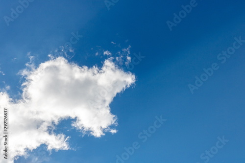 Cloud in the form of a bear cub in the rays of the sun on the blue sky. The concept of a dream and a good day.