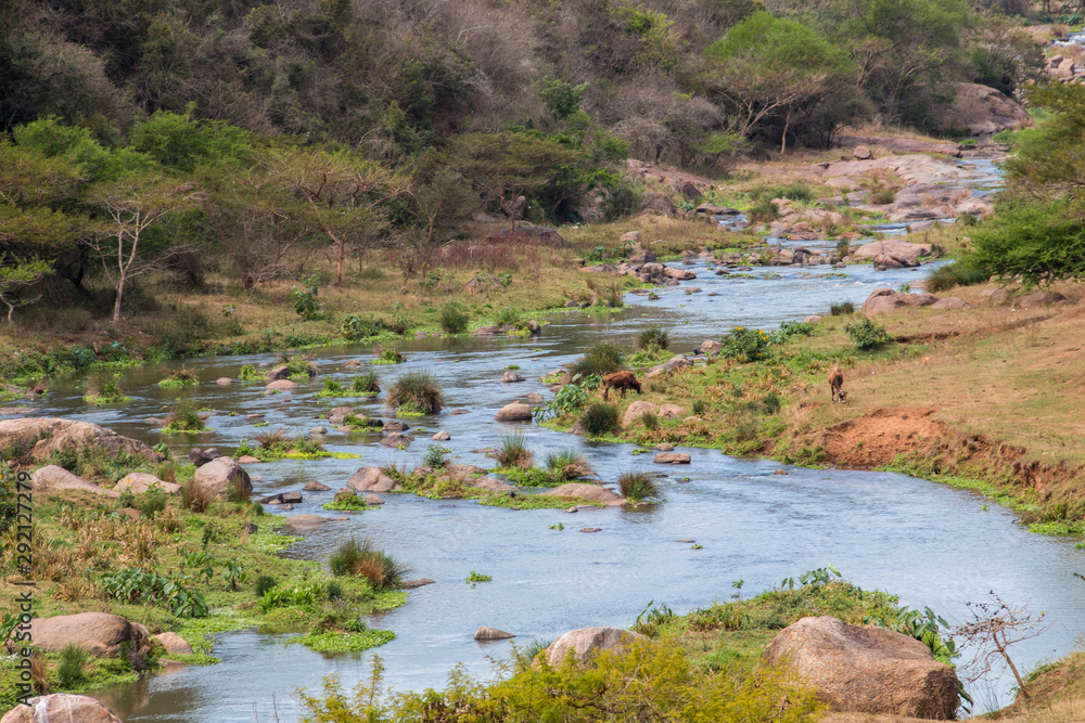 Fast Flowing Umgeni River Fast Flowing Umgeni River
