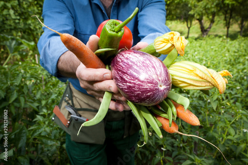 Foto Farmer