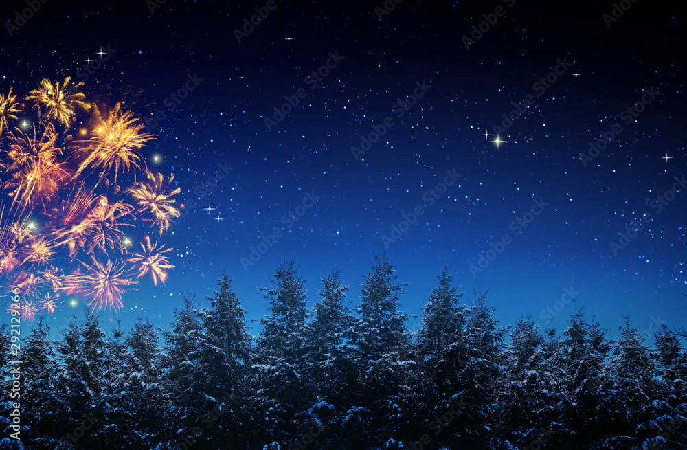 Fototapeta premium Colorful firework on night sky.New Year background.