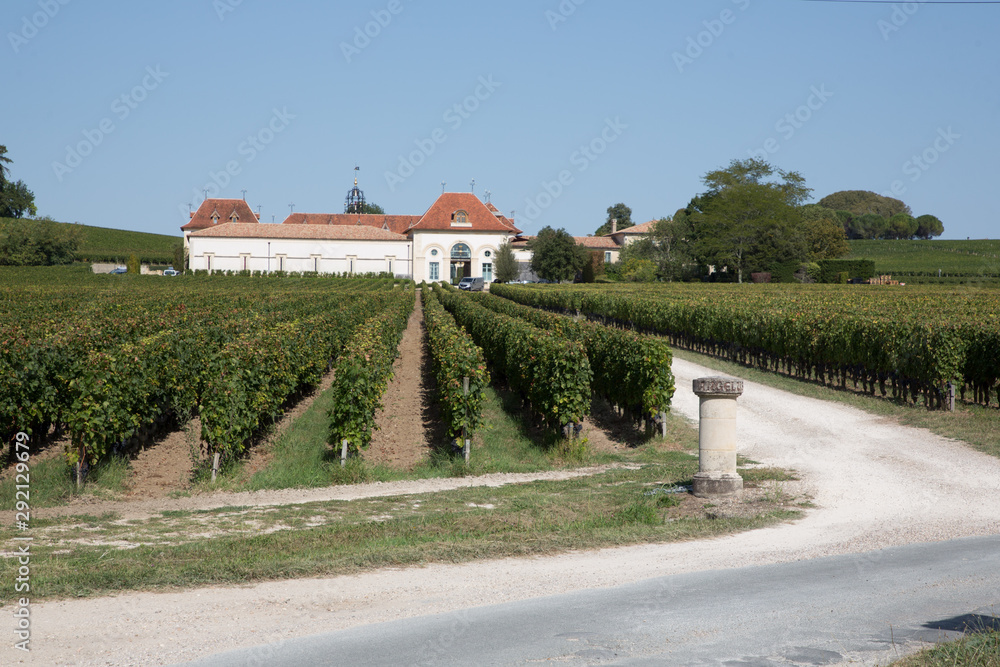 castle wine yards of Saint Emilion Bordeaux Vineyards