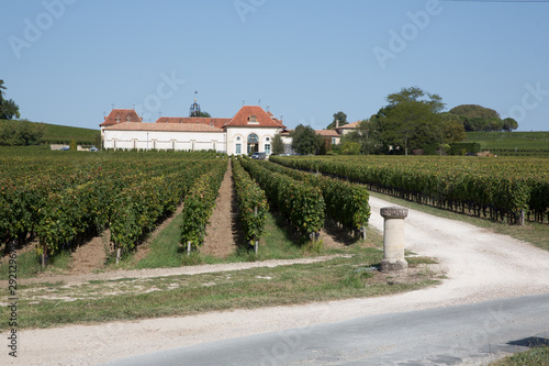 Fotobehang castle wine yards of Saint Emilion Bordeaux Vineyards