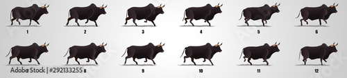 Bull run cycle animation sequence