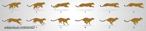 Foto Cheetah run cycle animation sequence