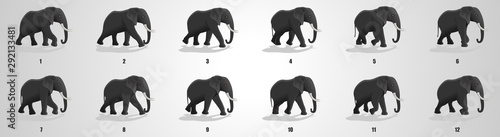 Elephant run cycle animation sequence
