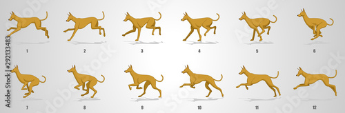 Dog Run cycle animation sequence