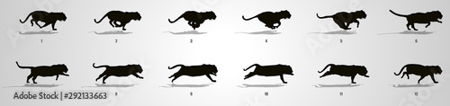 Tiger run cycle animation sequence Silhouette