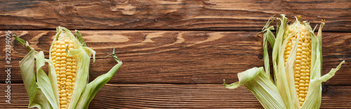 panoramic shot of fresh corn on brown wooden surface