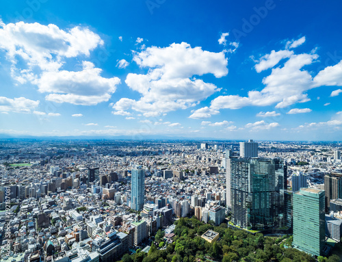 都庁から眺める東京都市風景 © oben901