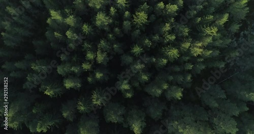 Flying above a spruce forest in Finland.