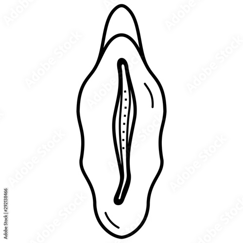 Female genital organs vector icon in outlines. Black aesthetic contour.	