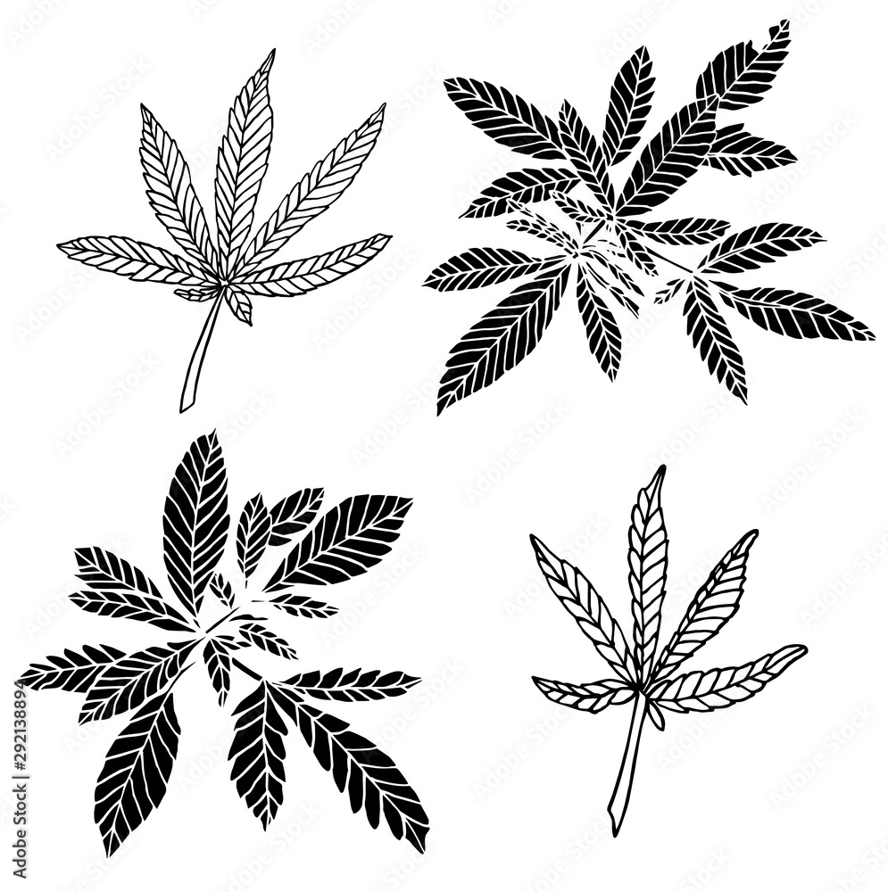 Decorative black trafaret set branch of big hemp and leaves Decorative black trafaret set branch of big hemp and leaves
