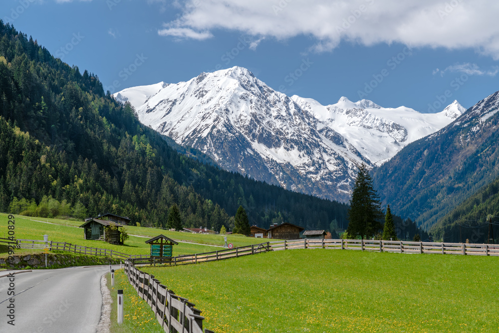 Beautiful landscape of alpine meadow and wild flowers in summer at stubaital valley near Innsbruck, Austria.