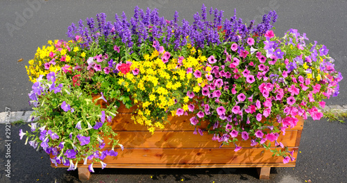 Colourful flowers in a wooden box