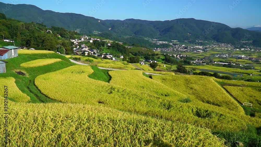 秋の姨捨の棚田 秋の姨捨の棚田
