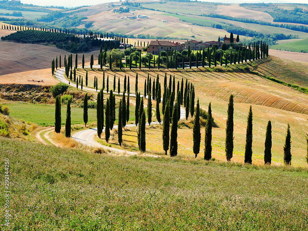 Obraz premium Tuscany, landscape of the Crete Senesi with cypresses along the road that leads to the farm in the background