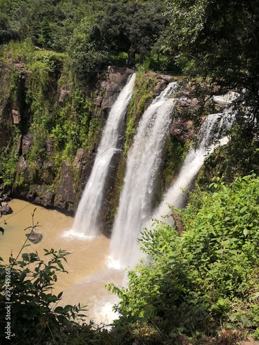 waterfall in forest