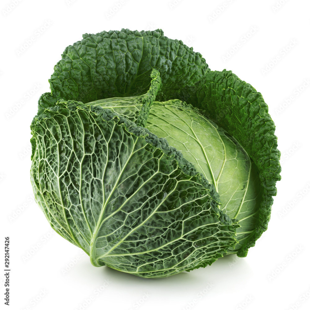 Сabbage Сabbage