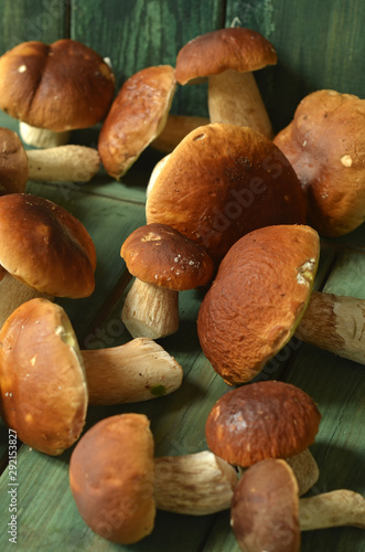 Fresh porcini mushrooms on a wooden background